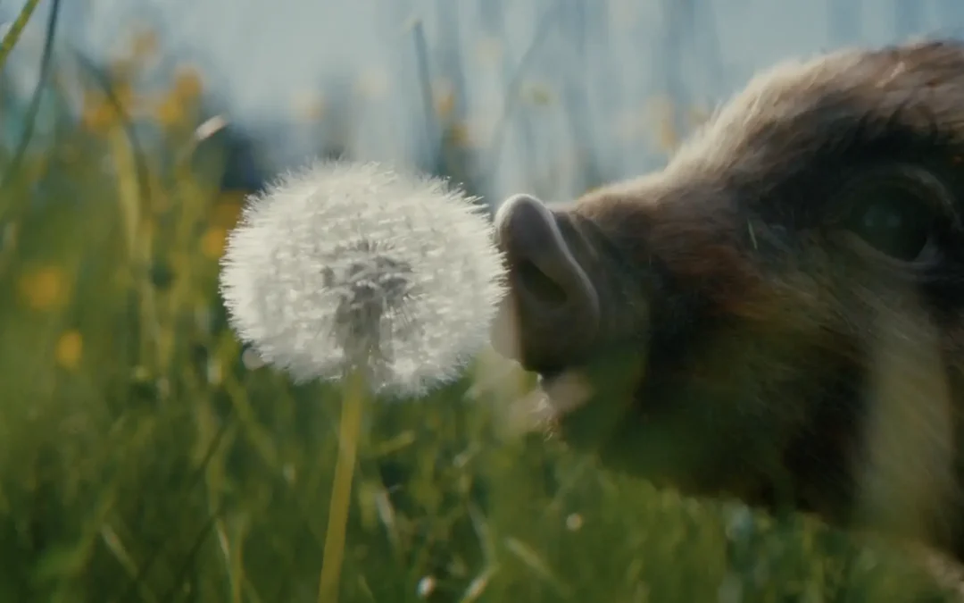 “CGI Animation ‘Franky’ Clinches Gold at Ciclope 2021 Awards”